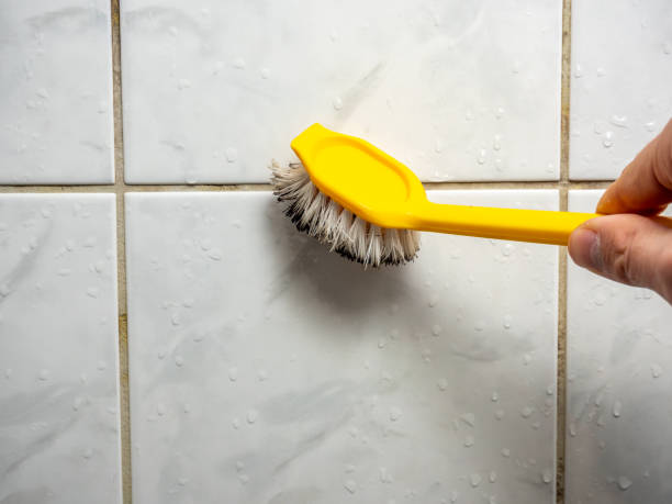 Best Commercial Mold Remediation in South Valley, NM