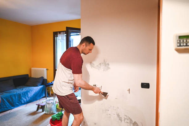 Best Mold Testing and Inspection Services in South Valley, NM
